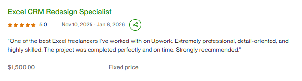 Excel CRM Redesign Specialist